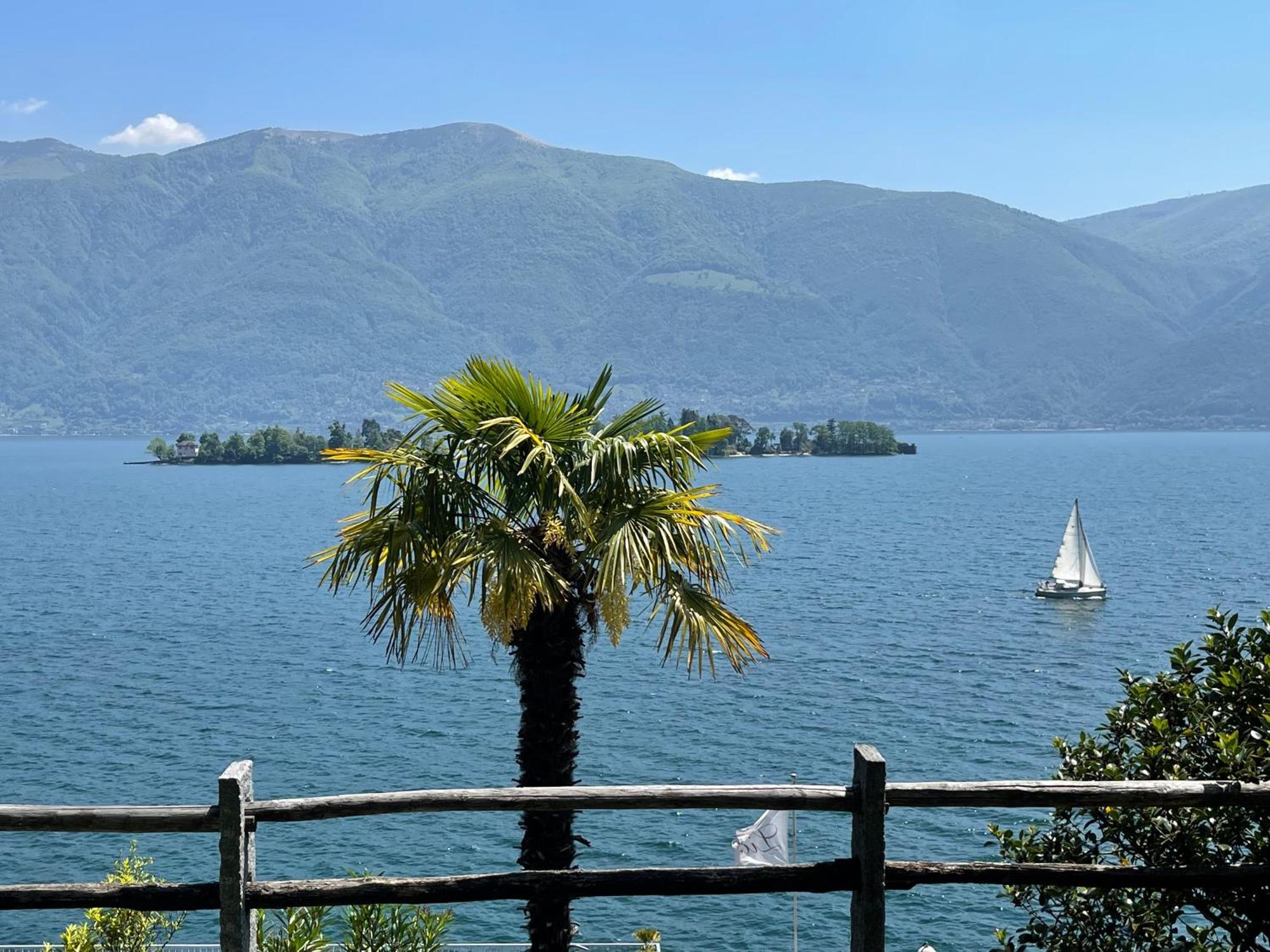Residenza Bettina Bnb & Ferienwohnungen Ronco sopra Ascona Exteriör bild