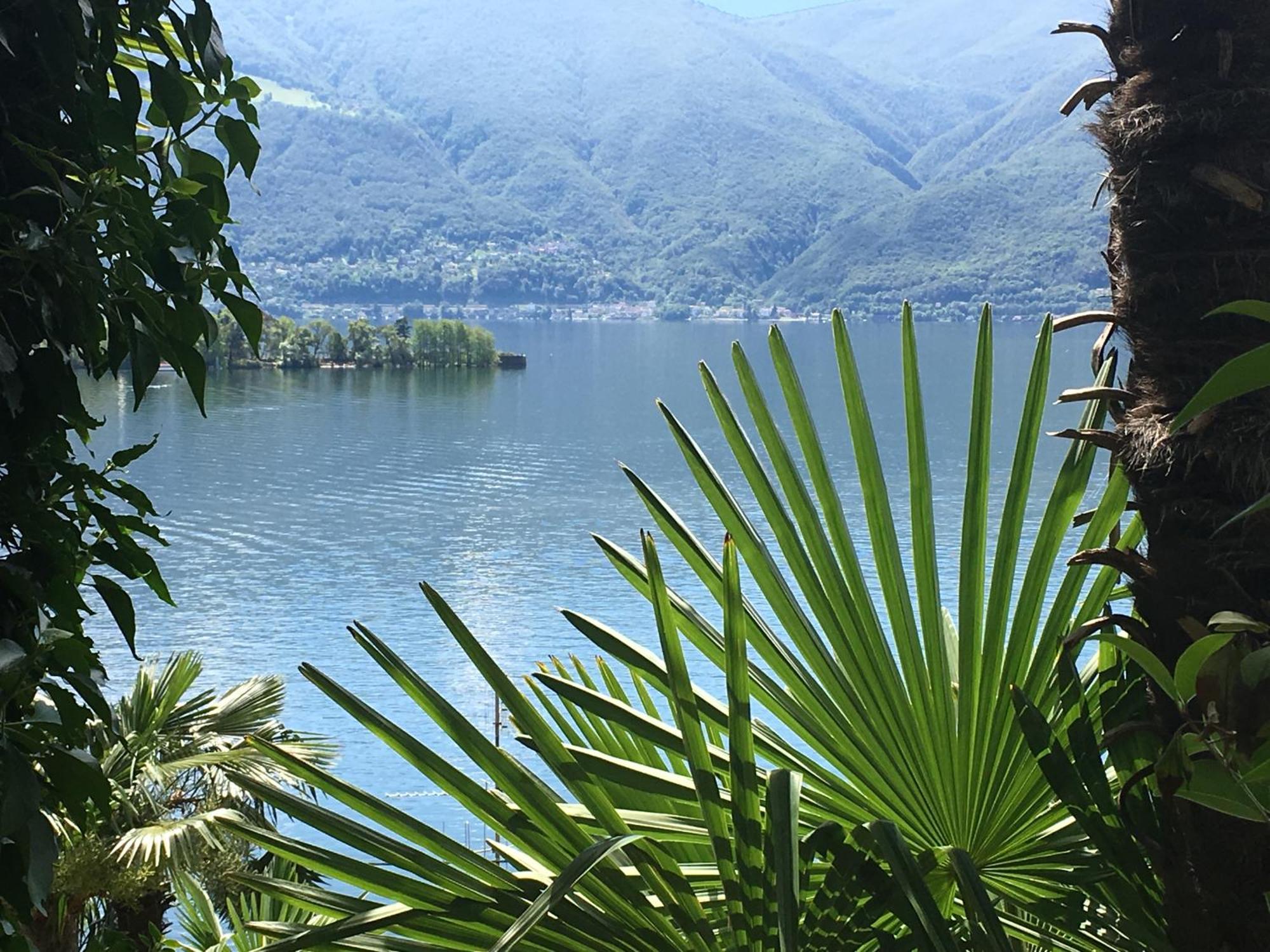 Residenza Bettina Bnb & Ferienwohnungen Ronco sopra Ascona Exteriör bild